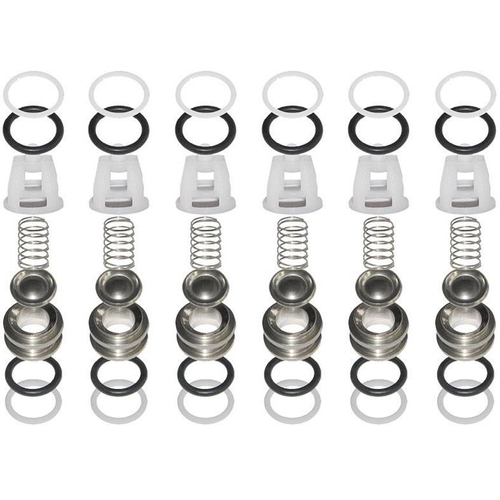 Valve Kit (Suction/Delivery)