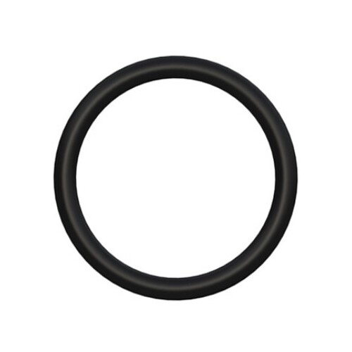Seal O-ring