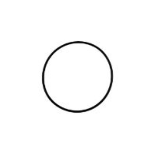TD2.9L4 O-ring for Water Pump - 1183901