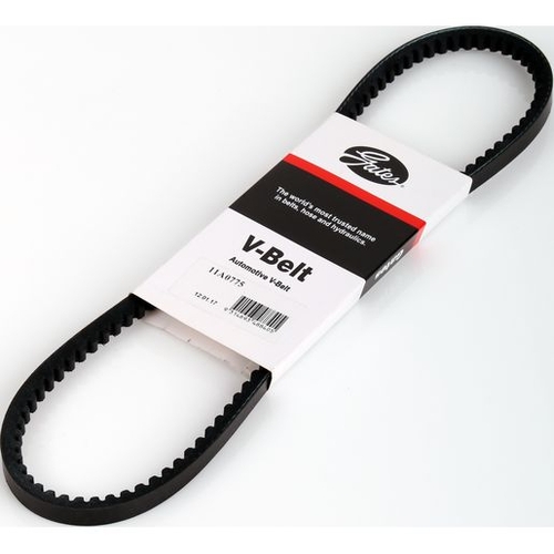 V Belt 11A0775