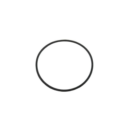 O-Ring - 129150-49811