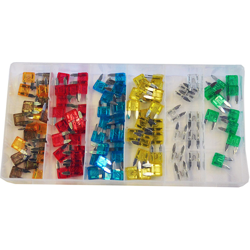 100 Pc Mini Auto Fuse Set