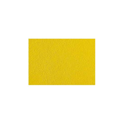 Golden Yellow 20L Kit Non Slip Paint