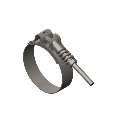 Clamp T Bolt Spring