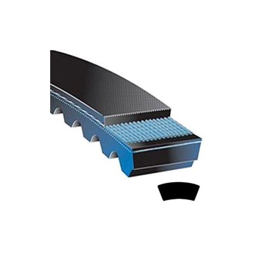 Belt Variable