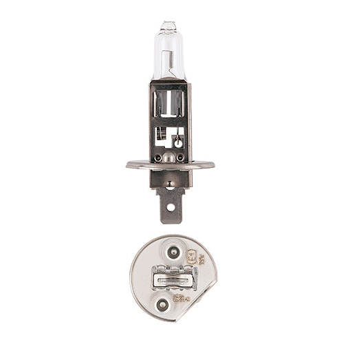 Narva H1 P14.5s Plus 100 Globe 12V 55W BL Pk 1