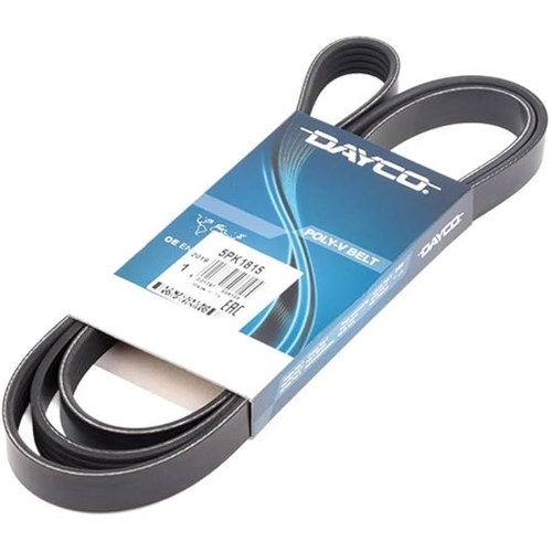 Drive Belt  5PK1815 - 5PK1815