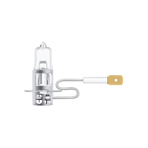 H3 24V 70W Halogen Globe - 64156