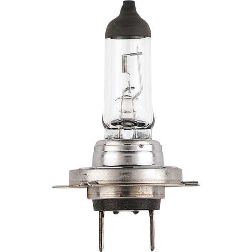 H7 12V 55W Halogen Globe