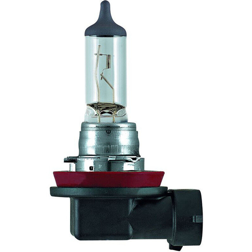 H8 Halogen Globe 12V 35W PGJ19-1 Base Box Pack 1