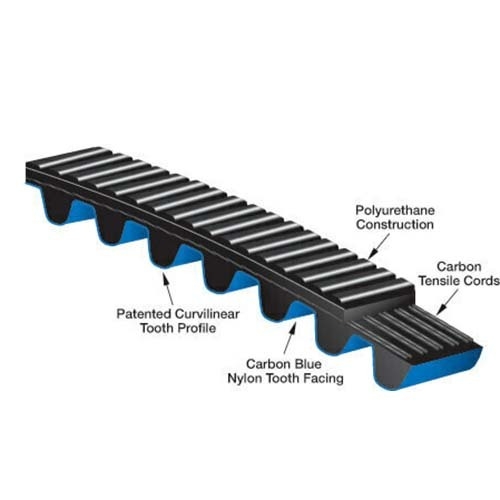 Polychain Belt