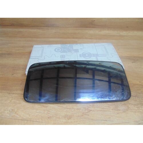 Mirror Glass - Actros  Main Mirror, Convex Glass