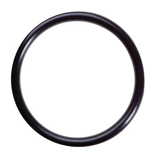 M22 O-ring