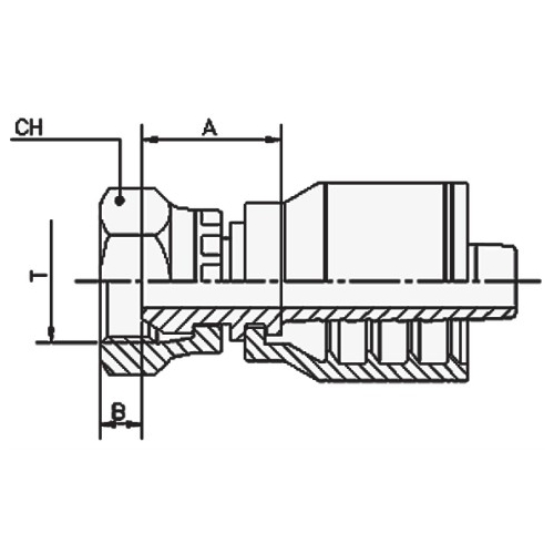 3/8 Bspp Female Straight 3/8 Hose - BF1-0606K