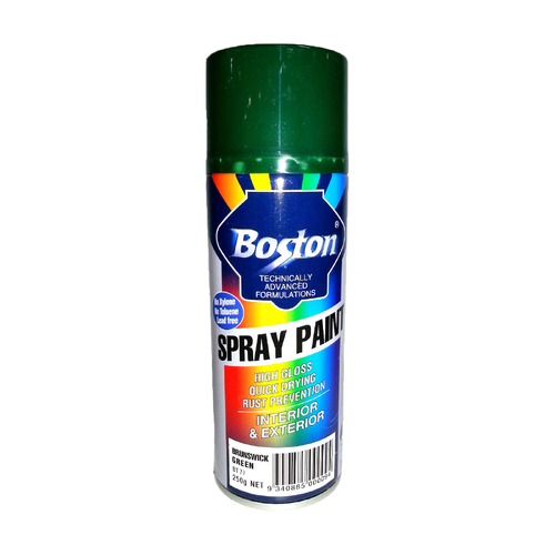 Green Spray Paint 250g