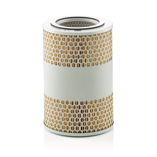 Air Filter - C151244