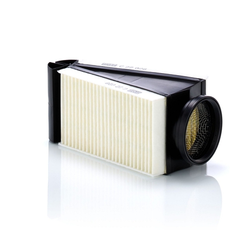 Air Filter - C22028