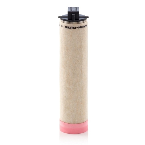 Secondary Air Filter - CF355