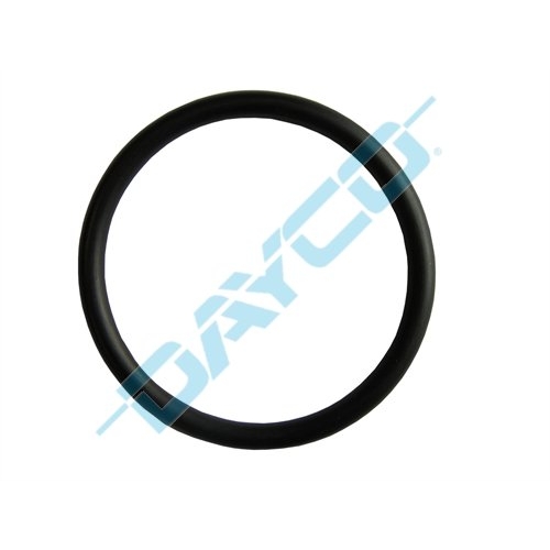 Thermostat Seal - DTG27