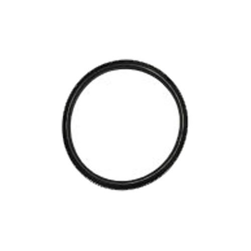 Thermostat Seal Dayco