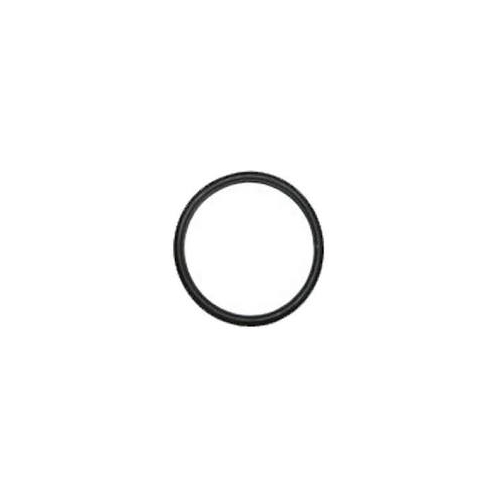 Thermostat Gasket