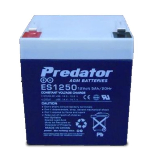 Generator Battery - ES1250
