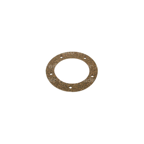 Fuel Pump Tank Seal