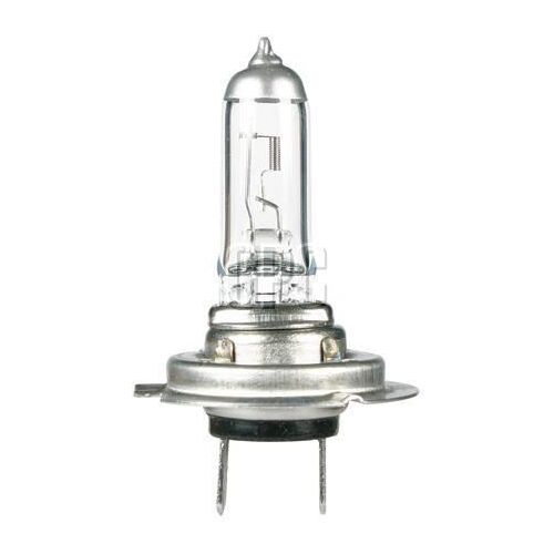 OEX H7 Globe 12V 55W Standard - 1 Pce