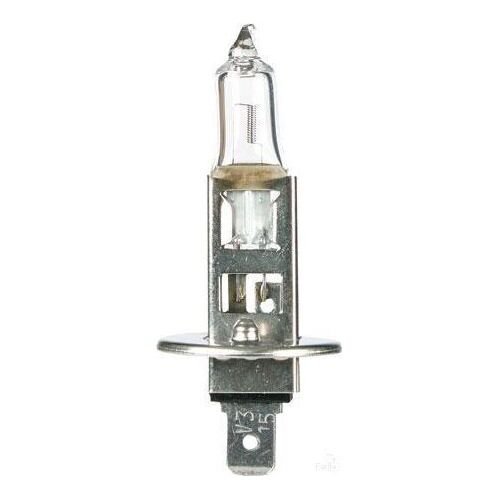 OEX H1 Globe 12V 55W Standard - 1 Pce