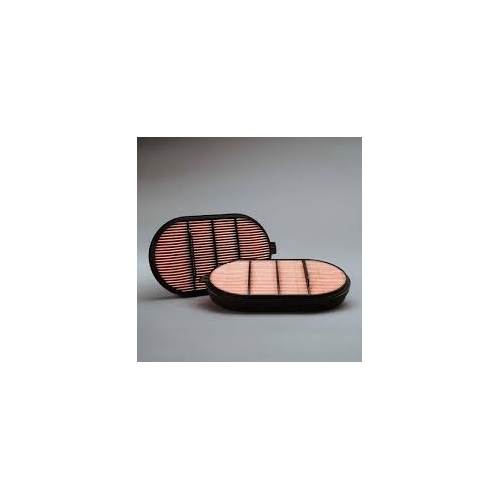 Air Filter - P601560