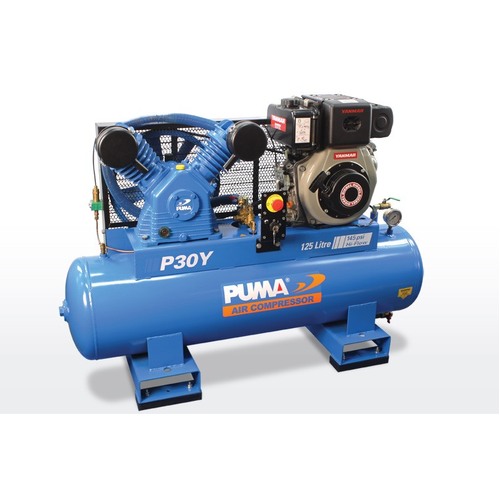 Puma P30Y Electric Start