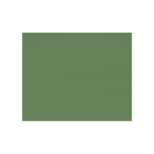 Mangrove Green RAL6011 20L
