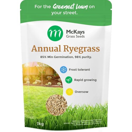 Annual Ryegrass Seed 1kg