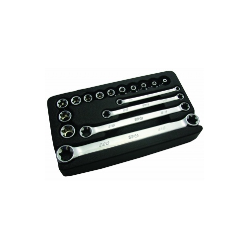 Socket & Spanner Set 3/8Dr 16Pc E Torx