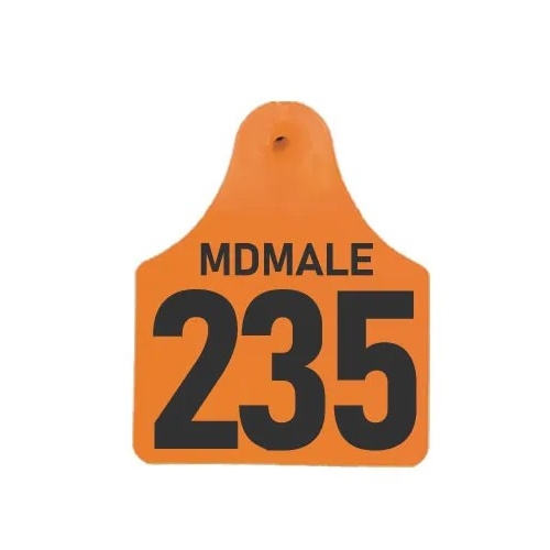 Fofia Medium Male Tag Blue - T902LB