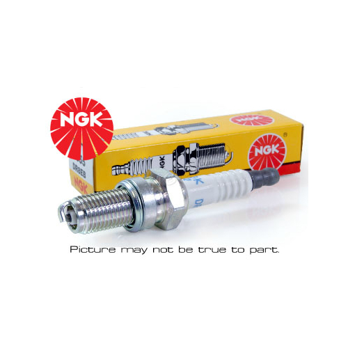 Spark Plug Each