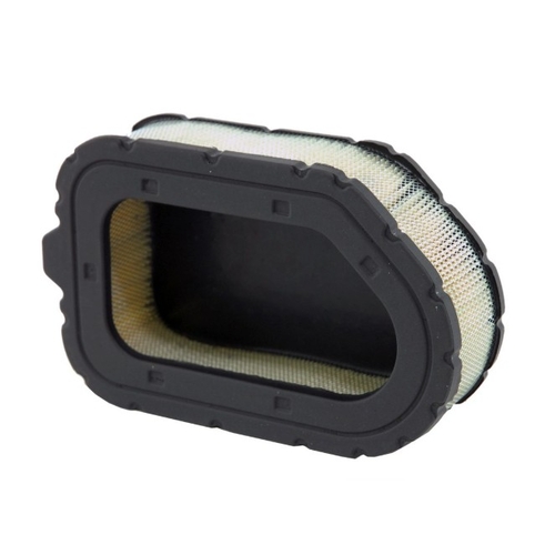 Air Filter RS30099 - WA10025