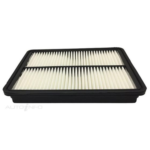 Air Filter Santa Fe