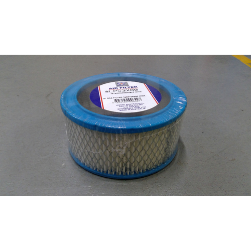 Air Filter - WLPG3X80